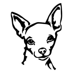 Meet your Posher, Ali